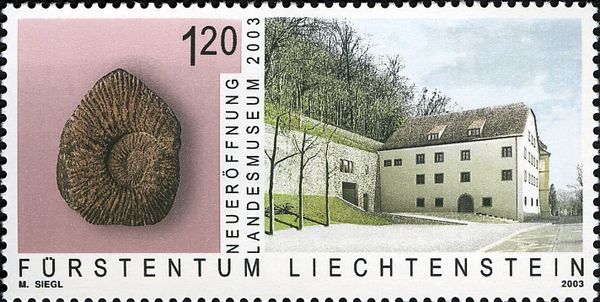 Renovated Buildings and Ammonite