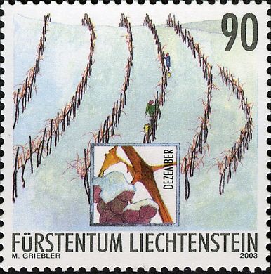 Harvesting the Ice-wine grapes (December)
