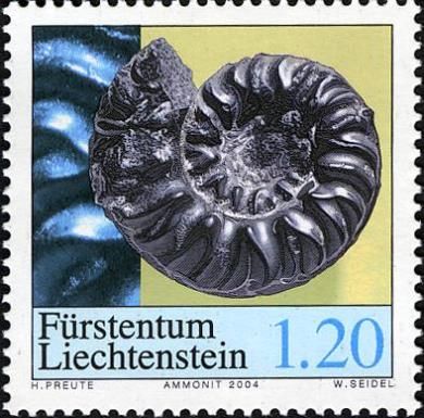Ammonite