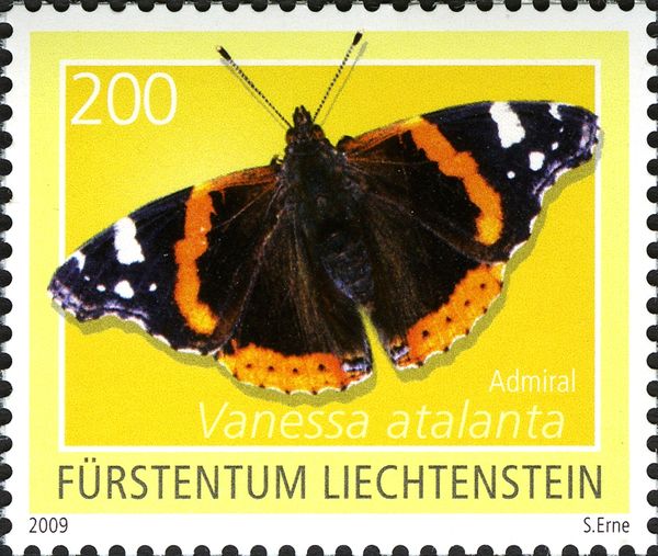 Red Admiral (Vanessa atalanta)