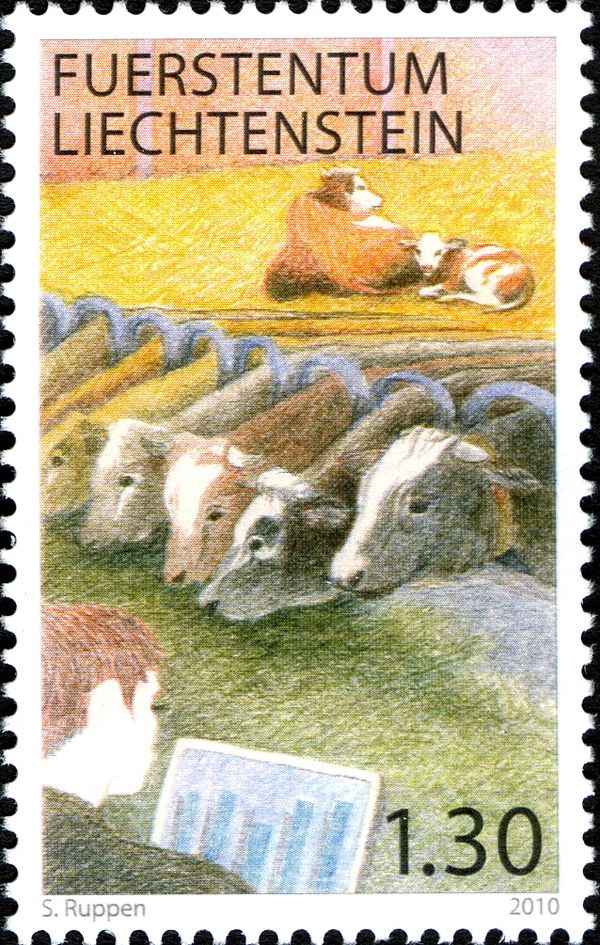 Cattle (Bos primigenius taurus)