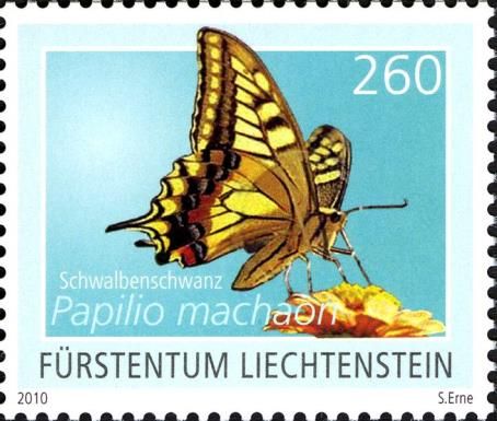Swallowtail (Papilio machaon)