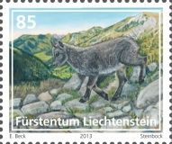Alpine Ibex (Capra ibex)