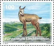 Chamois (Rupicapra rupicapra)