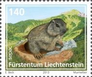 Alpine Marmot (Marmota marmota)