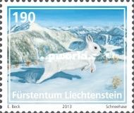 Mountain Hare (Lepus timidus)