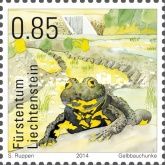 Yellow-bellied Toad (Bombina variegata)
