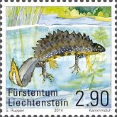 Northern Crested Newt (Triturus cristatus)