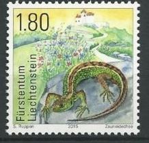Sand Lizard (Lacerta agilis)
