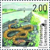 Smooth Snake (Coronella austriaca)