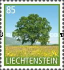 Common Oak (Quercus robur)