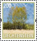 Silver Birch (Betula pendula)