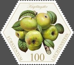 Pears: "Kugeläugstler"