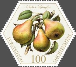 Pears: "Sulser Längler"