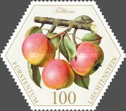 Pears: "Tollbirne"