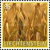 Oats (Avena sp.)