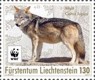 Wolf (Canis lupus)