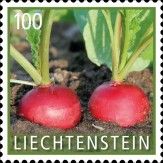 Radishes