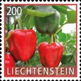 Red Bell Pepper