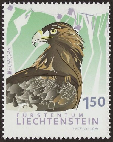 Golden Eagle (Aquila chrysaetos)