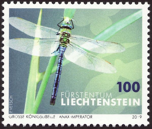 Emperor Dragonfly (Anax imperator)