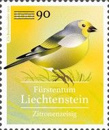 Citril Finch (Carduelis citrinella) Surcharged
