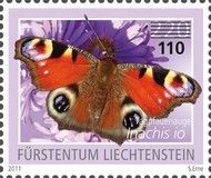 European peacock (Inachis io)