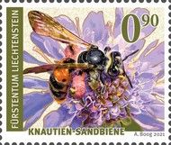 Andrena hattorfiana