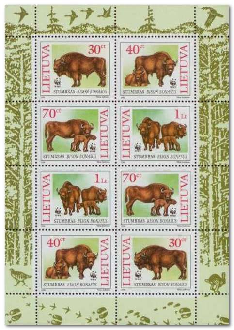 WWF - European Bison