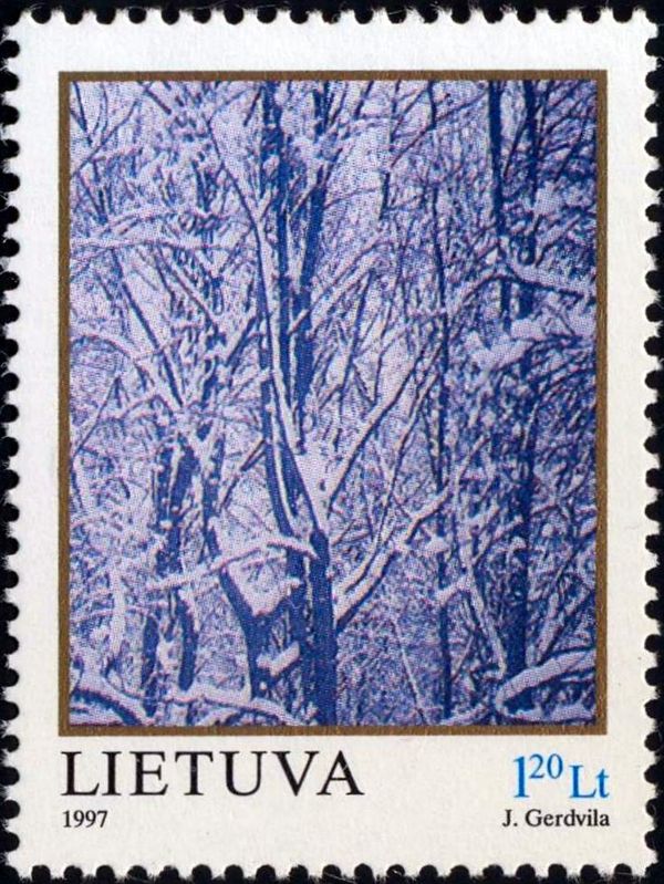 Snow-covered Trees
