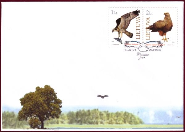 Osprey (Pandion haliaetus)