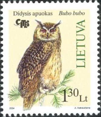 Eurasian Eagle-Owl (Bubo bubo)