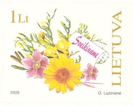 Congratulations - Bouquet of Gerbera Daisies and Freesias