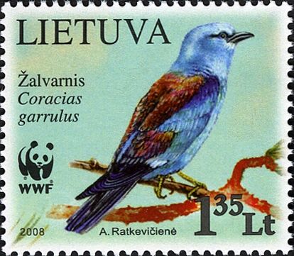 European Roller (Coracias garrulus)