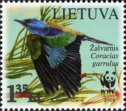 European Roller (Coracias garrulus), in Flight