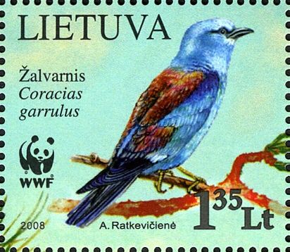 European Roller (Coracias garrulus)