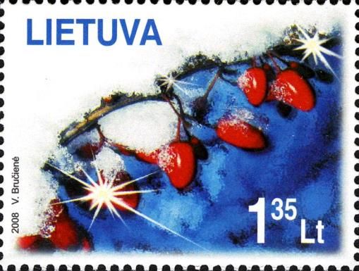Christmas - Winter Berries