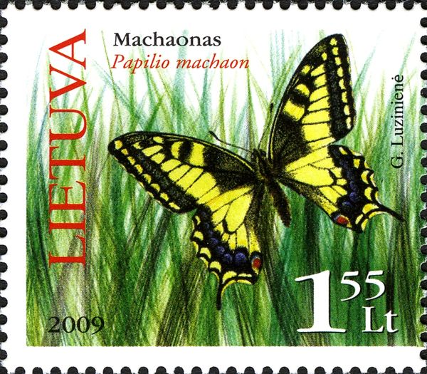 Swallowtail (Papilio machaon)