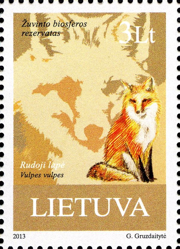 Red Fox (Vulpes vulpes)