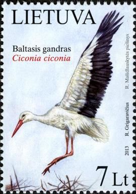 National Bird of Lithuania - White Stork (Ciconia ciconia)