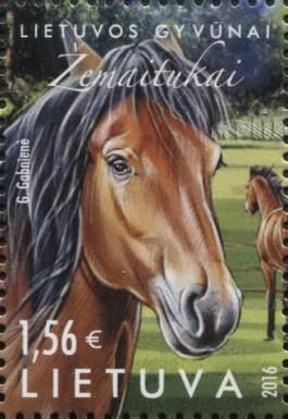 Žemaitukas Horse (Equus ferus caballus)