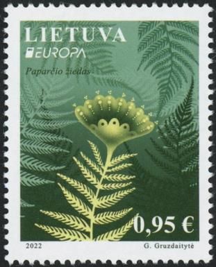 Legend of the Blooming Fern