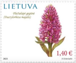 Broad-Leaved Marsh Orchid (Dactylorhiza majalis)