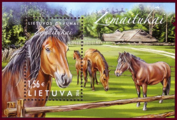 Žemaitukas Horse (Equus ferus caballus)