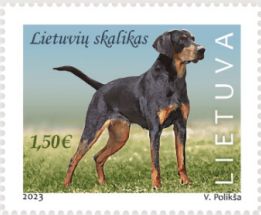 Lithuanian Hound