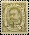 Duke William IV