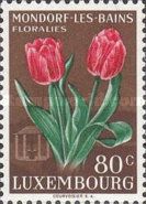 Red Tulips (Tulipa gesneriana)