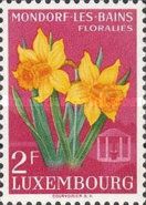 Yellow and Orange Narcissi (Narcissus pseudonarcissus)