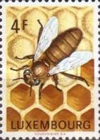Publicizing Importance of Beekeeping