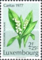 Lily of the Valley (Convallaria majalis)